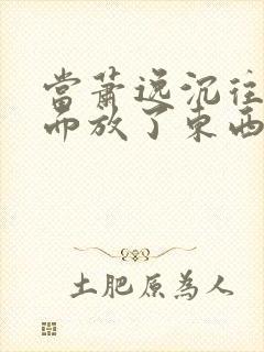 当萧逸沉往你里面放了东西小玩具