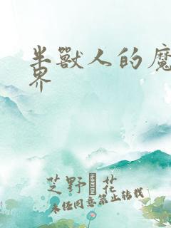 半兽人的魔法世界