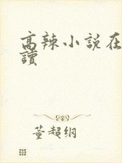 高辣小说在线阅读
