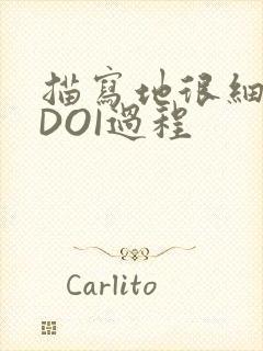 描写地很细致的DOI过程