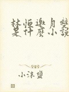 林恒邀月双胞胎是什么小说