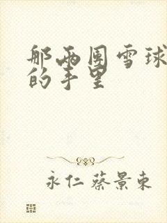 那两团雪球在他的手里