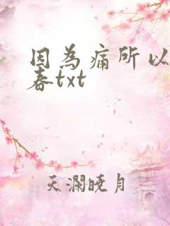因为痛所以叫青春txt