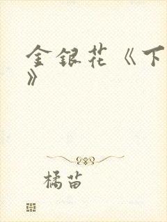 金银花《下厨房》