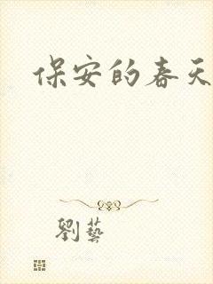 保安的春天