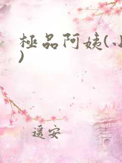 极品阿姨(小说)