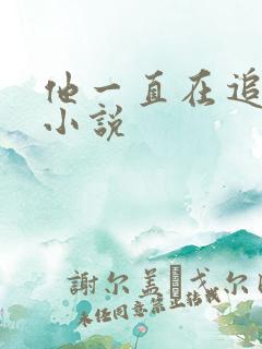 他一直在追初恋小说