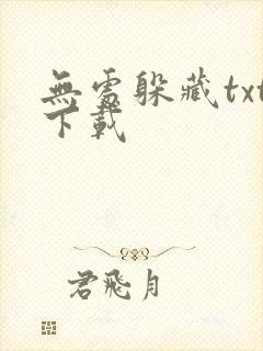 无处躲藏txt下载