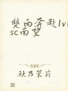 双向奔赴1v1sc南望