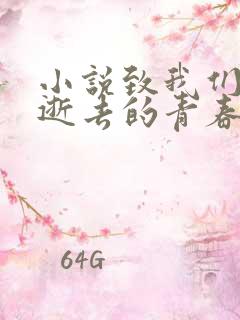 小说致我们终将逝去的青春