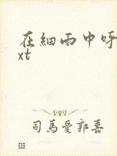 在细雨中呼喊txt