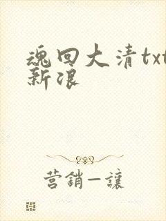 魂回大清txt新浪