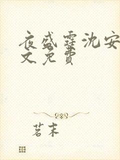 夜盛霆沈安然全文免费