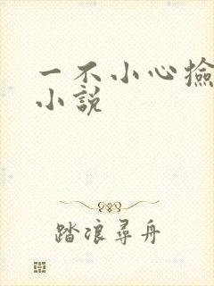 一不小心捡到爱小说