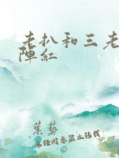 老扒和三老扒和阵红