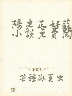 阳光正好苏玥玥小说免费阅读