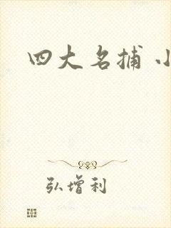 四大名捕 小说