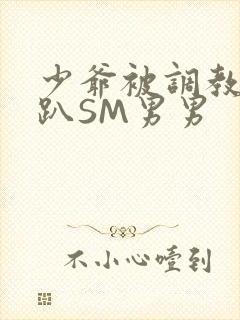 少爷被调教室跪趴SM男男