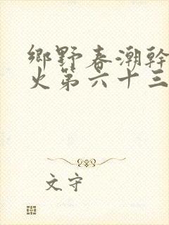 乡野春潮干柴烈火第六十三章