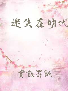 迷失在明代末年