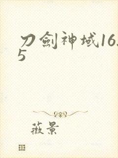 刀剑神域16.5
