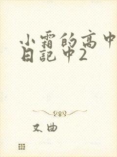 小霜的高中成长日记中2