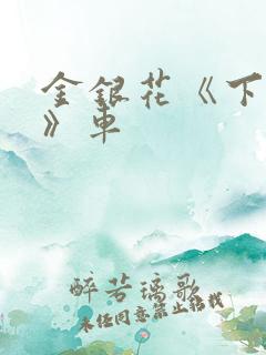 金银花《下厨房》车