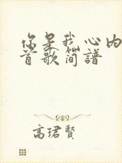 你是我心内的一首歌简谱