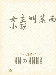 女主叫叶南初的小说