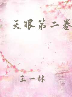 天眼第二卷