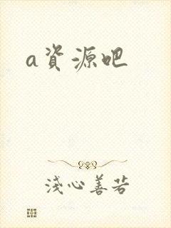 a资源吧