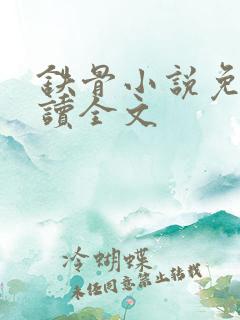 铁骨小说免费阅读全文