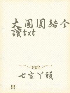 大团圆结全文阅读txt