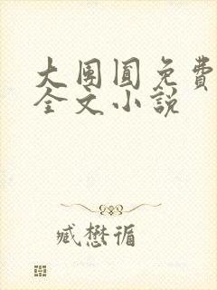 大团圆免费阅读全文小说