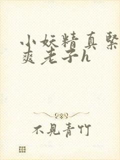 小妖精真紧h嘶爽老子h