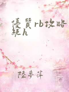 优质rb攻略系统h