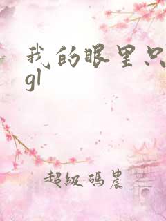 我的眼里只有你gl