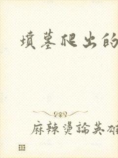 坟墓爬出的士兵