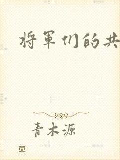 将军们的共妻H