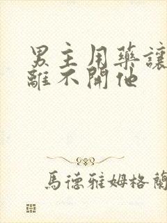 男主用药让女主离不开他