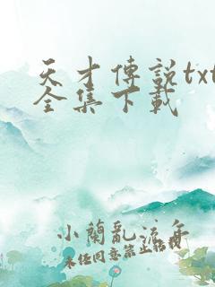 天才传说txt全集下载