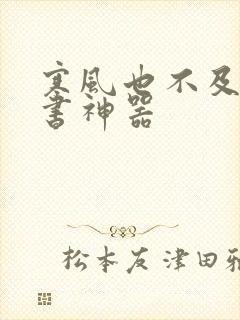 寒风也不及她追书神器