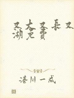 又大又长又租高湖免费