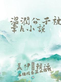 温润公子被脔日常h小说