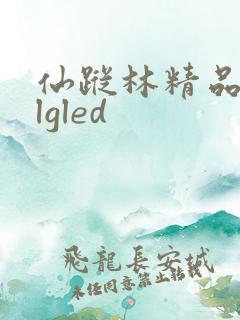 仙踪林精品zzlgled