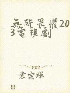 无所畏惧2023电视剧