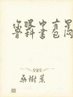 你眼中有星辰h骨科书包网