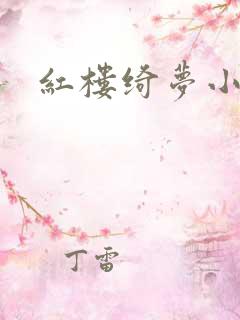红楼绮梦小说