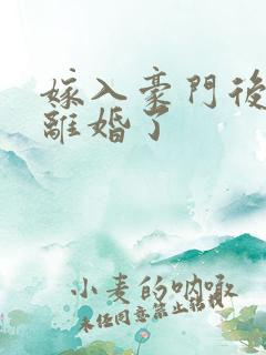 嫁入豪门后我又离婚了