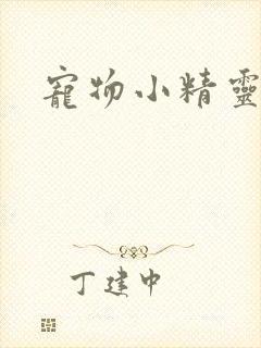 宠物小精灵之梦